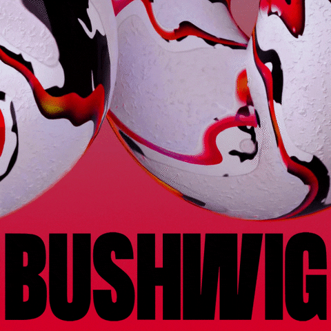 BushwigFestival gay festival lgbt nyc GIF