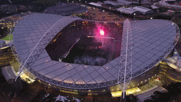 Stadium Australia GIF