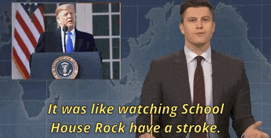 colin jost it was like watching school house rock have a stroke GIF by Saturday Night Live