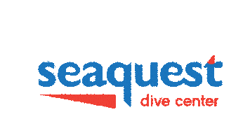 Seaquest Dive center Sticker