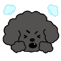 Angry Poodle Sticker