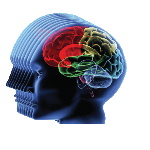 Sticker by UMass PBS