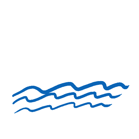 Vaksol Sticker by Salveo d.o.o.