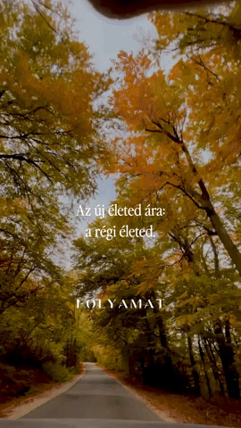 Folyamat GIF