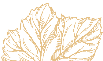 Cheers Gold Sticker by en vie champagne