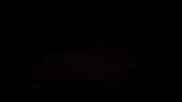 paulovalentim  GIF