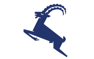 Beer Bier Sticker by Sonnenbräu