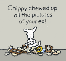 Ex Girlfriend Breakup GIF by Chippy the Dog