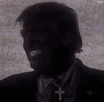 Usa President GIF