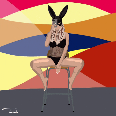 Taking Picture Bunny GIF