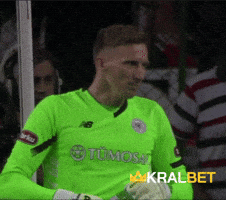 GIF by kralbet