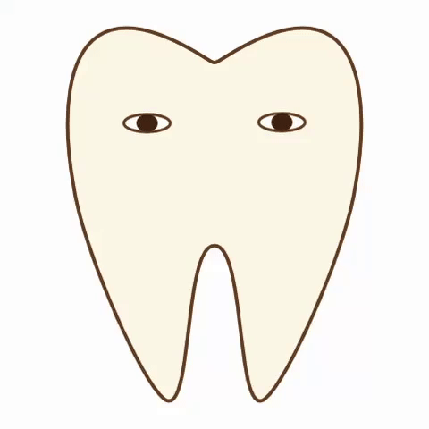 Bandage Sika GIF by dental_sozai