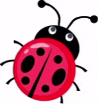 Lovebug GIF