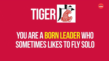 Chinese Tiger GIF by BuzzFeed