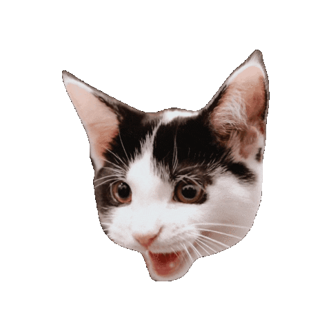 Mylesandspot Sticker