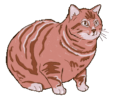 Cat Sticker