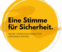 Team Mickel GIF