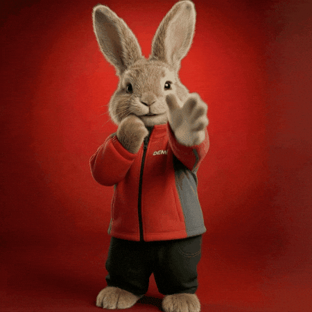 Easter Bunny Dance GIF by Denner