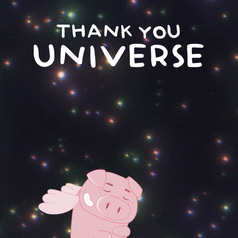 Believe Flying Pig GIF by PositivelyPigasus