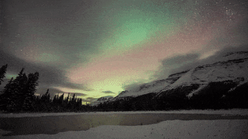 gineersnow canada star gazing dark sky preserve GIF