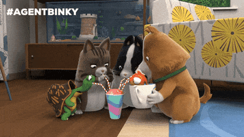 Cat Dog GIF by Treehouse Direct