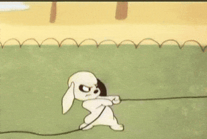 Dog GIF