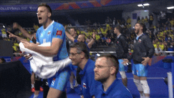 Lets Go Reaction GIF by Volleyball World