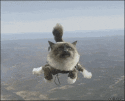 mistake GIF