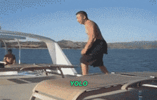 boat yolo GIF