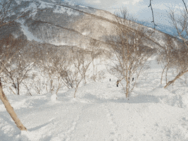 Snow Winter GIF by Alpingaraget