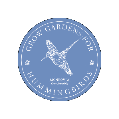 Sticker by monroviaplants