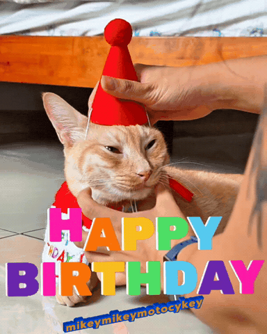 Happy Birthday Funny Cat GIF