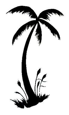 Palm Tree Tour Sticker by Priscilla Block