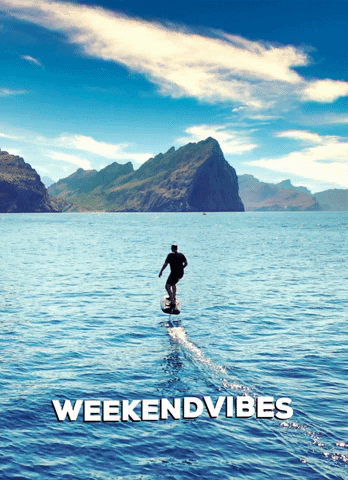 Weekend Weekendvibes Mode Surf Efoil Vacay Frankthelen GIF by Frank Thelen