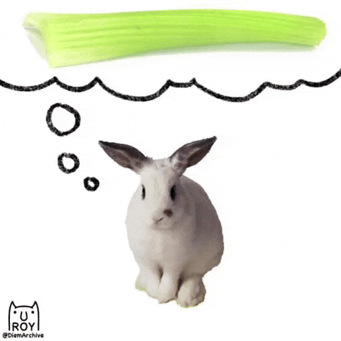 Thinking Rabbit GIF