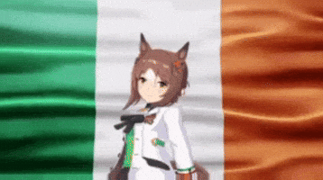 Umamusume Ireland GIF