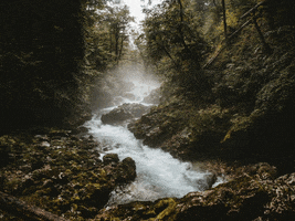 200.gif?cid=fc005b08a9c0da3b6f2032cc976dbf53c0121f436e1b4c11&rid=200.gif&ct=g