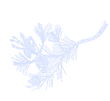 Sticker by BLISS BANG CAPITAL