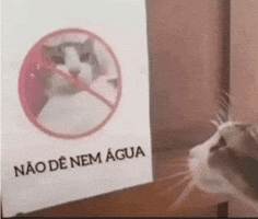 Jotaro13 GIF