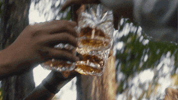 Wedding Party Cheers GIF by Zola