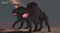 supernatural hellhounds gif