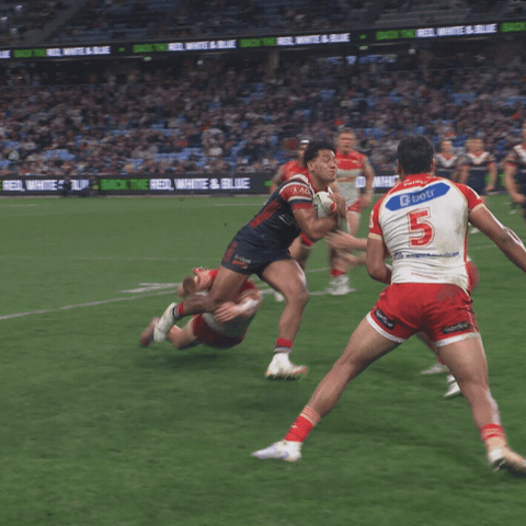 Max Hammer GIF by Dolphins NRL