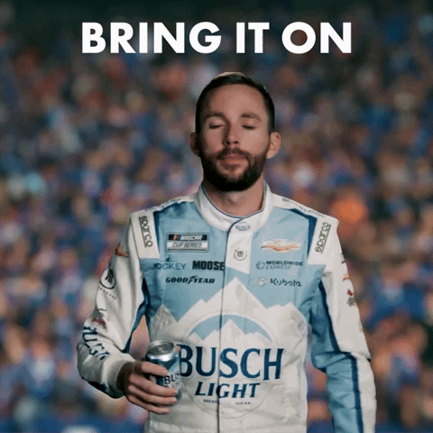Come On Beer GIF by Busch