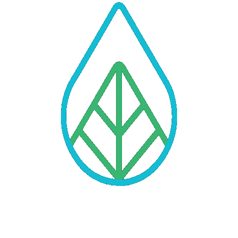 Mint Eco Car Wash Sticker