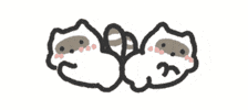Raccoon Love GIF