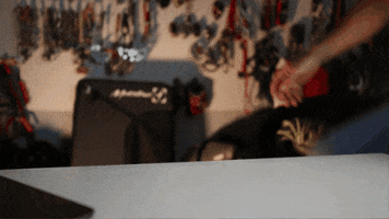 Betaclimber GIF