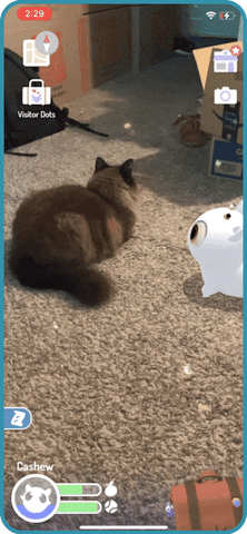 Animated GIF