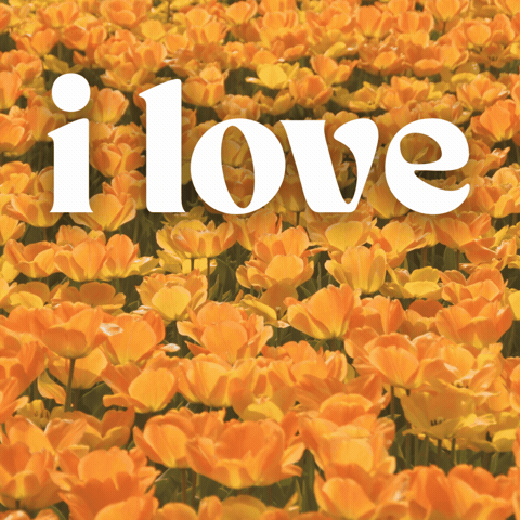 Happy I Love You GIF by Jennifer Greenhill