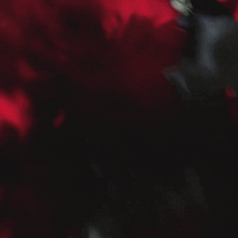 Gay Couple GIF