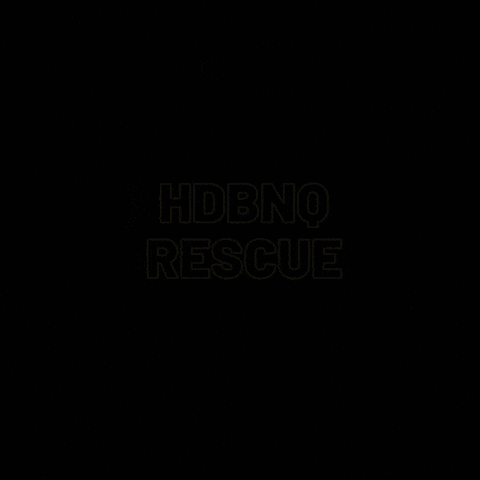 HDBnQ Rescue GIF